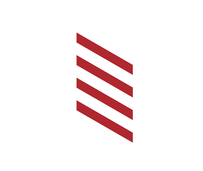 Stacked diagonal red lines that represent where pain is in the diagram.