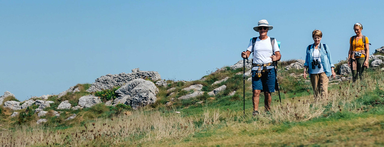 Group of people hiking as a lower back pain relief exercise for pain management.